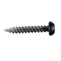 Black Square Philips Pan Head RV Screw 8x1"