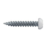 White Square Philips Pan Head RV Screw 8x1"